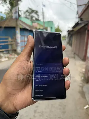 Xiaomi 13 Pro 256 GB