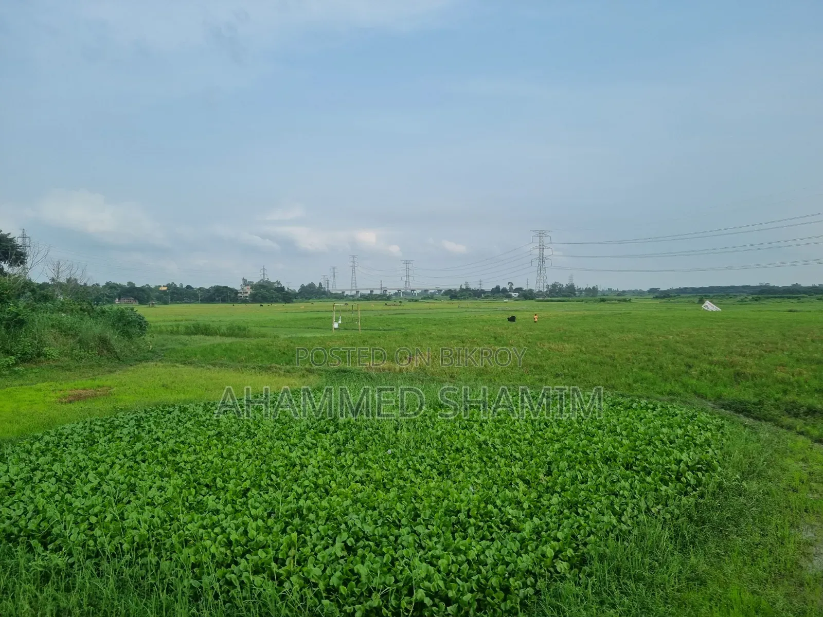 ঢাকা-মাওয়া রোডের সাথে মুন্সীগঞ্জের আবাসিক ও বাণিজ্যিক প্লট বিক্রয় |