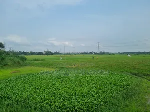 ঢাকা-মাওয়া রোডের সাথে মুন্সীগঞ্জের আবাসিক ও বাণিজ্যিক প্লট বিক্রয় |