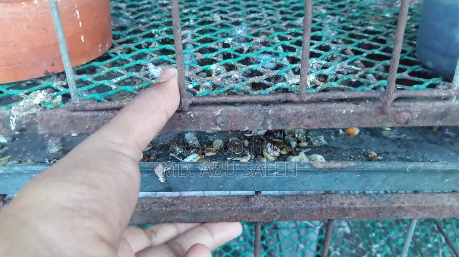 মুরগির খাঁচা
