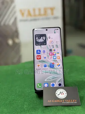 অনার ৭০ প্রো ২৫৬ জিবি