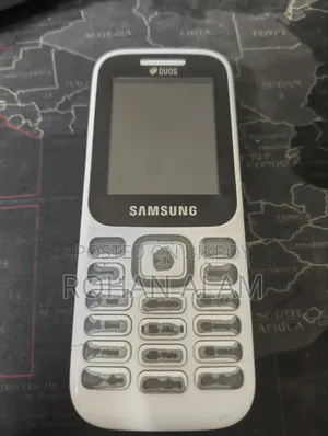 Samsung Guru Music 2 White