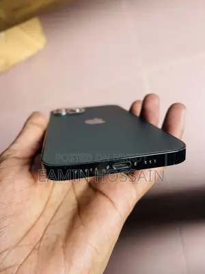 অ্যাপল আইফোন ১২ প্রো ২৫৬ জিবি