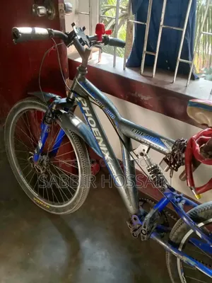 ফিনিক্স ফায়ারবার্ড