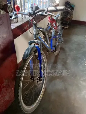 ফিনিক্স ফায়ারবার্ড