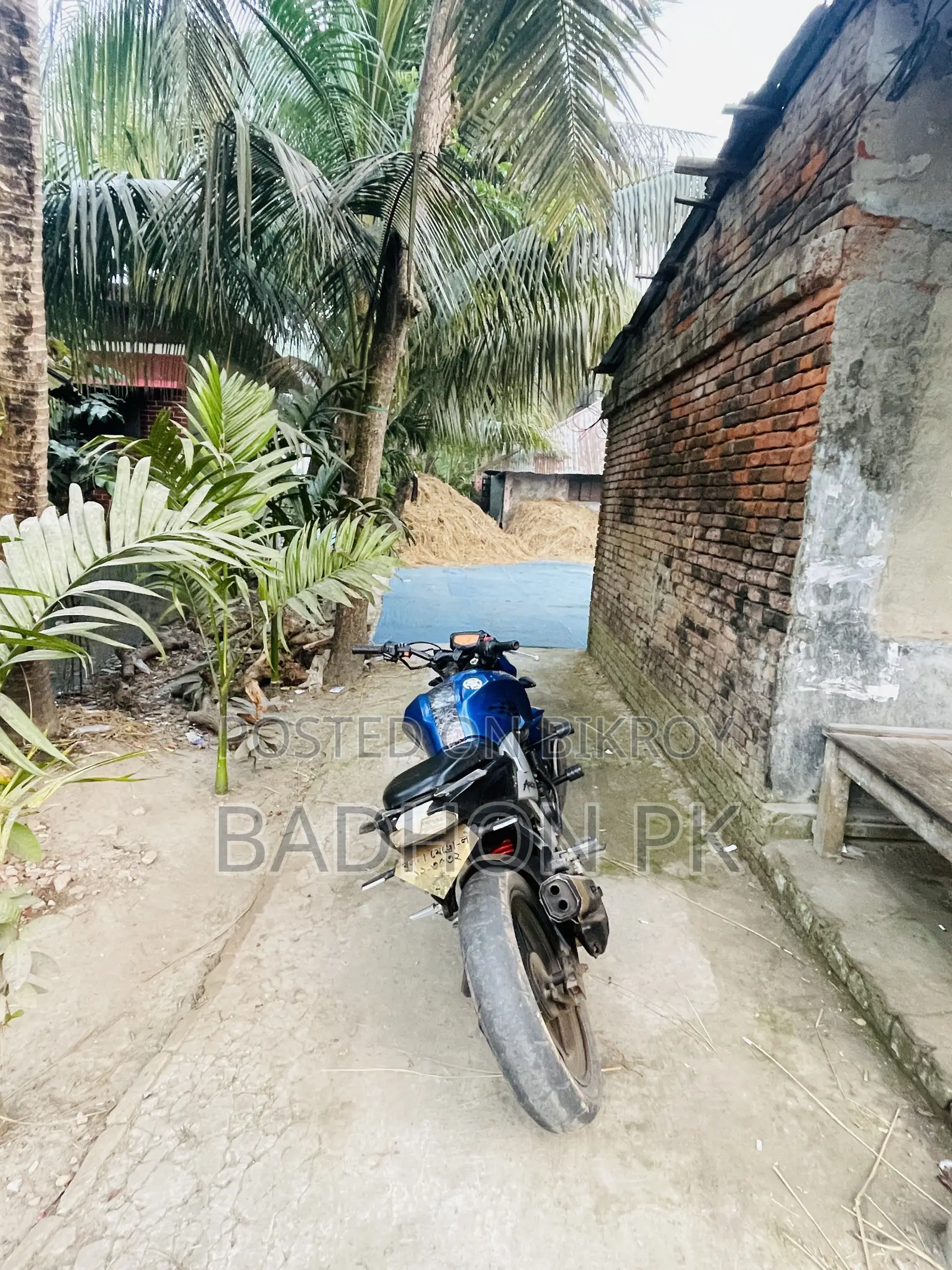 TVS Apache 160 4V 2020 Blue