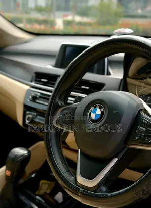 BMW X1 2015 Brown
