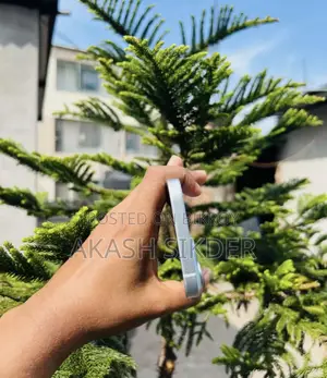 নতুন অ্যাপল আইফোন ১৫ ১২৮ জিবি নীল