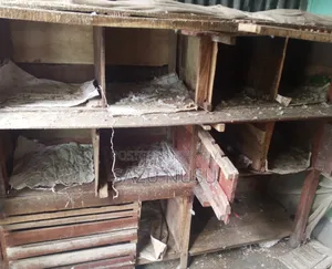 Pigeon Coop