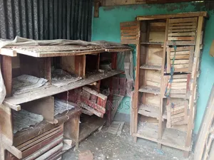 কবুতরের খোপ