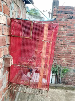 Cage Sale