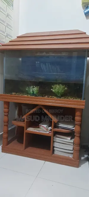 ফিশ অ্যাকুরিয়াম