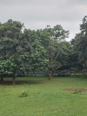 Land for sale in Gazipur, Rajendrapur, Kacharipara