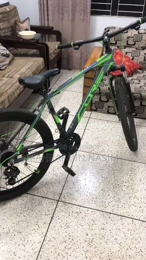 Motorcycle 2024 Green