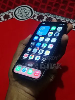 অ্যাপল আইফোন ১২ প্রো ২৫৬ জিবি ব্লু