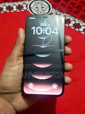 অ্যাপল আইফোন ১২ প্রো ২৫৬ জিবি ব্লু