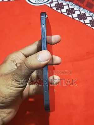অ্যাপল আইফোন ১২ প্রো ২৫৬ জিবি ব্লু