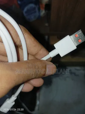 ৬এ শাওমি ক্যাবল, টাইপ-সি ১২০হার্জ সাপোর্টেড