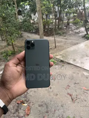 Apple iPhone 11 Pro Max 256 GB Black