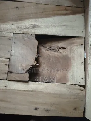 সিঙ্গেল চকি