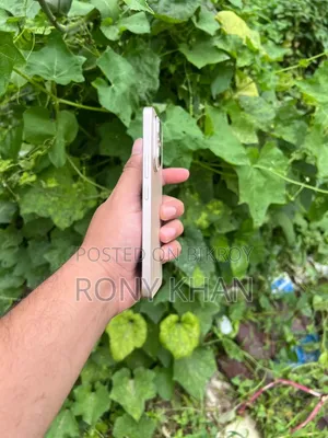 New Honor 200 256 GB Gold