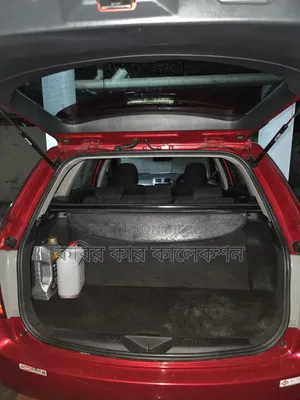 Toyota Corolla Fielder 2009 Maroon