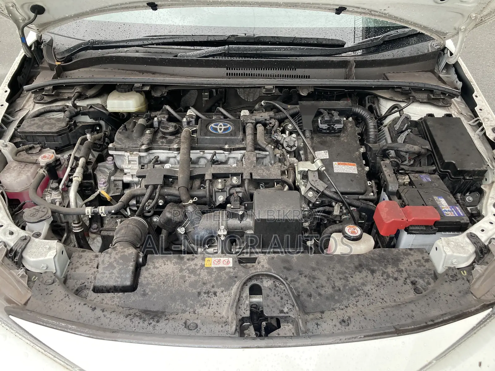 Toyota Corolla 2021 Pearl