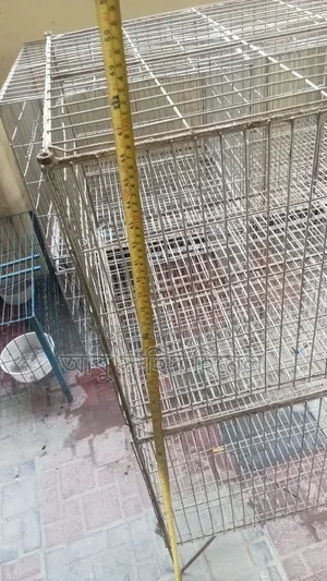 Bird or Pigeon Cage