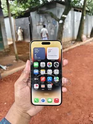 অ্যাপল আইফোন ১৪ প্রো ম্যাক্স ২৫৬ জিবি গোল্ড