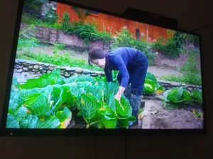 A Walton Er 43inc Smart TV Sell Hobe