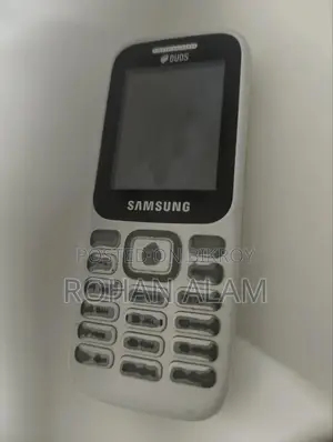 Samsung Guru Music 2 White