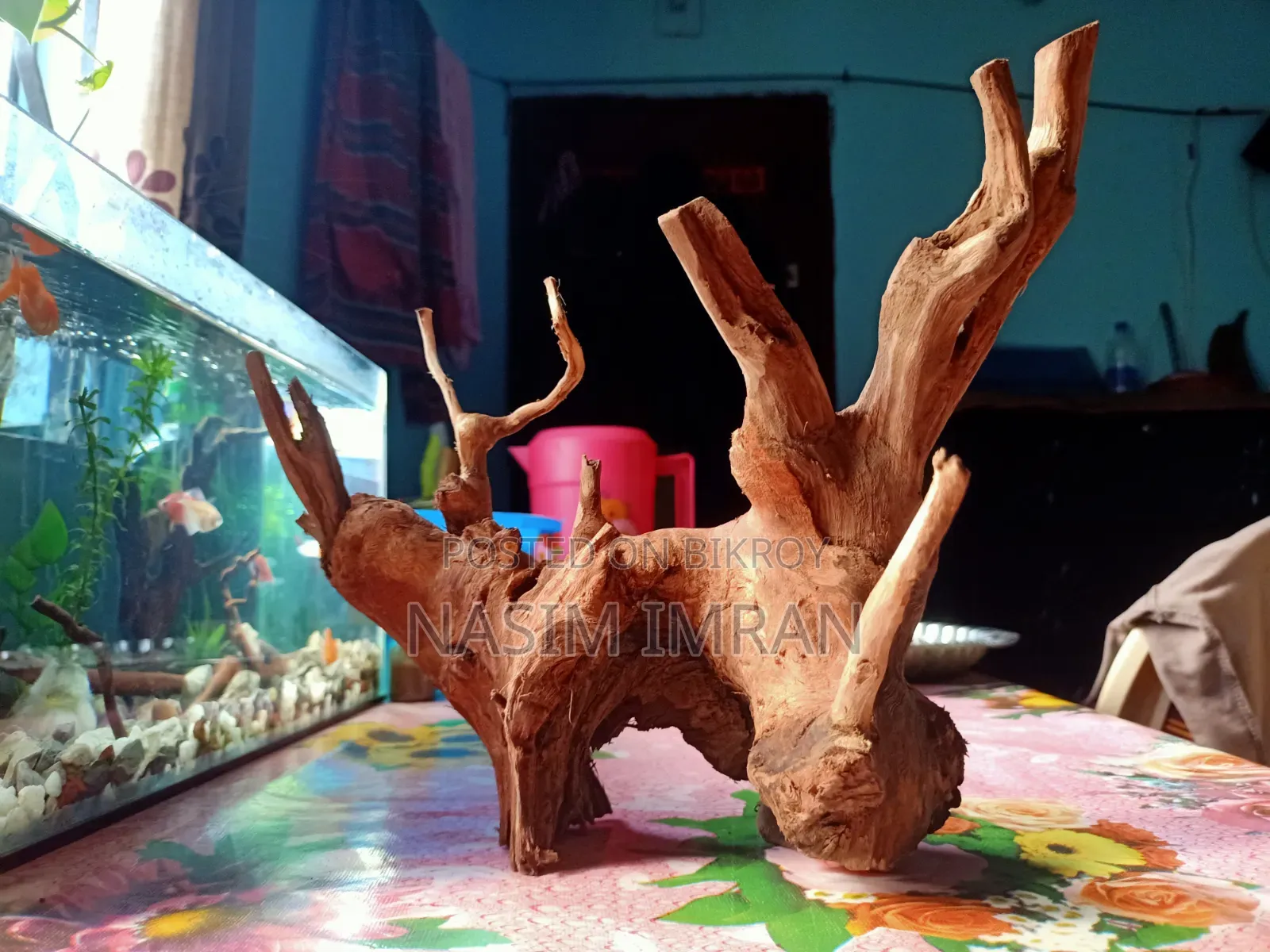 Premium Quality Natural Driftwood for Sale!