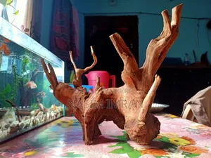 Premium Quality Natural Driftwood for Sale!
