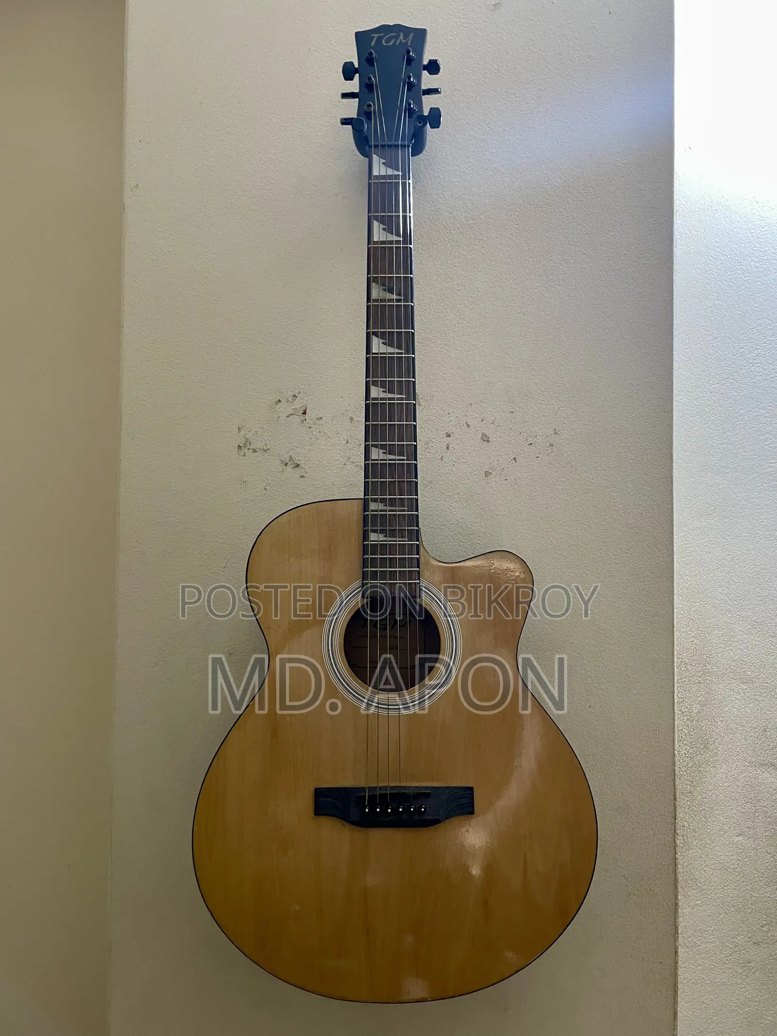টিজিএম গিটার