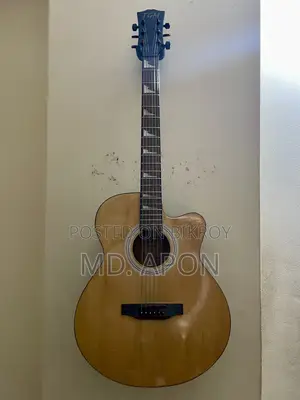 টিজিএম গিটার