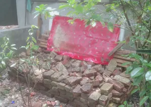 Clay Brick.