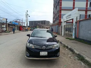 Toyota Axio 2013 Black