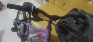 স্টার্ন সাইকেল