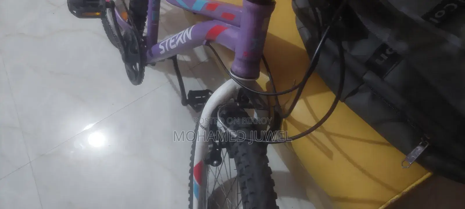 স্টার্ন সাইকেল