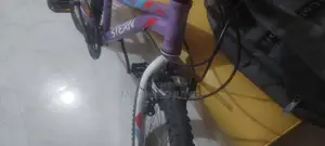 স্টার্ন সাইকেল