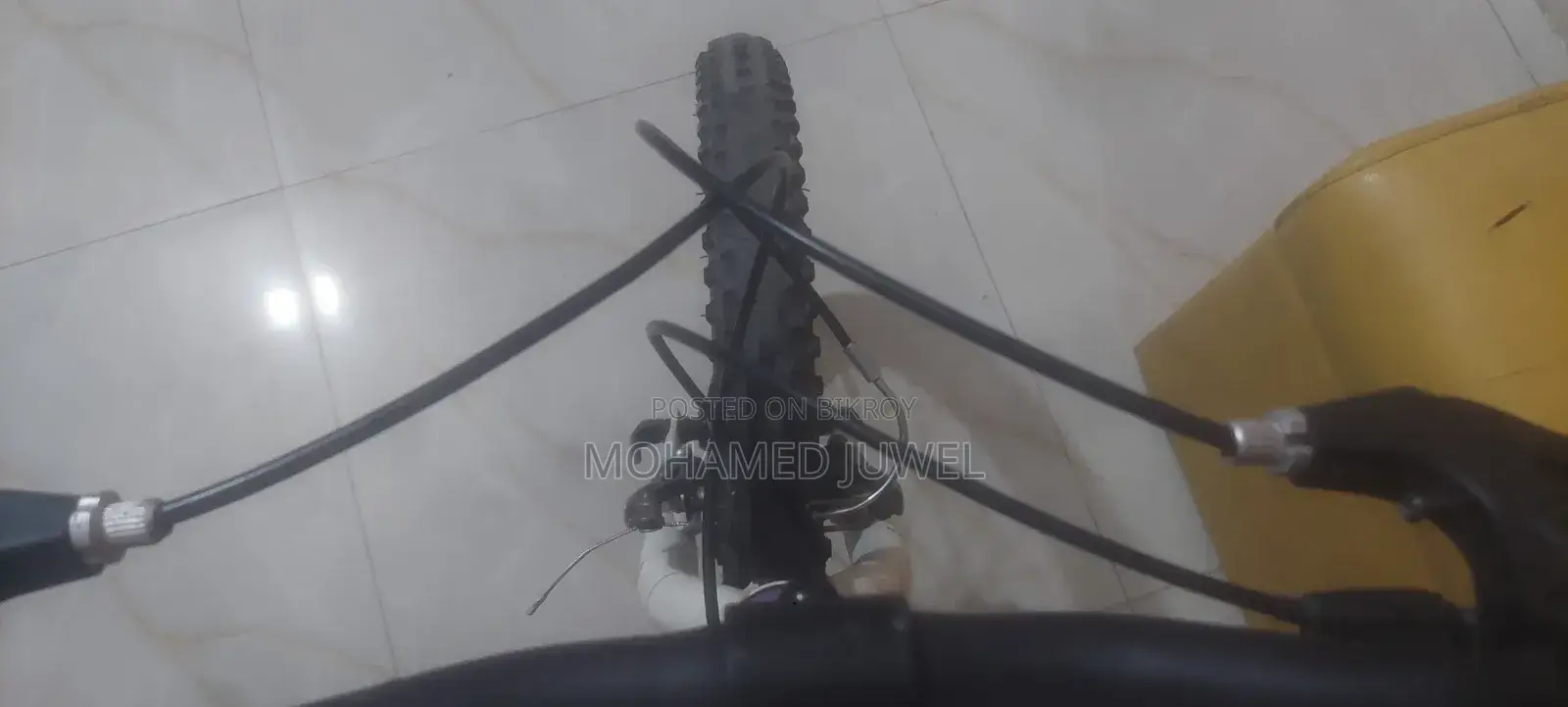 স্টার্ন সাইকেল