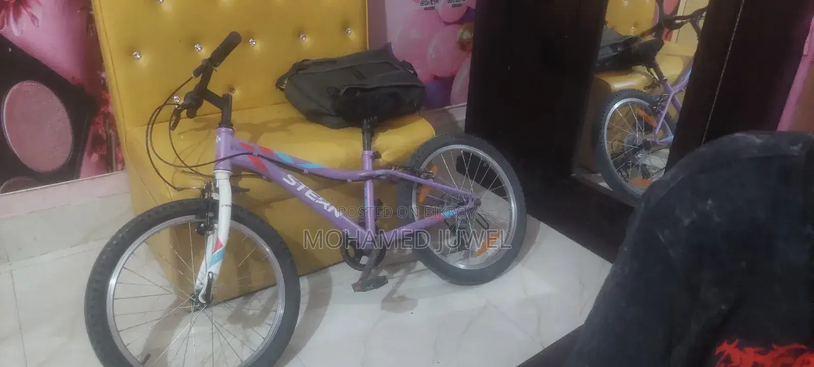 স্টার্ন সাইকেল