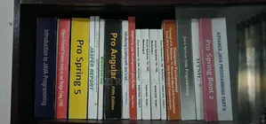 IT Software Engineering Books Bundle (18 Books Like New)