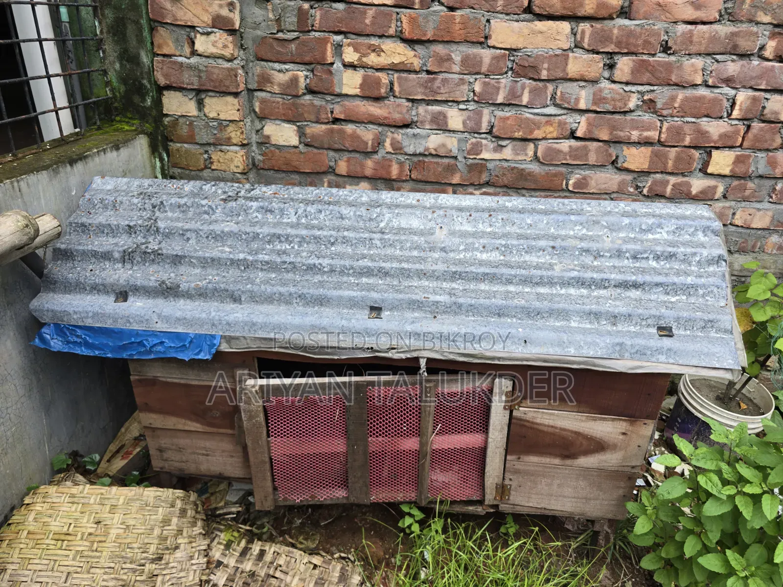 Duck/Chicken Coop