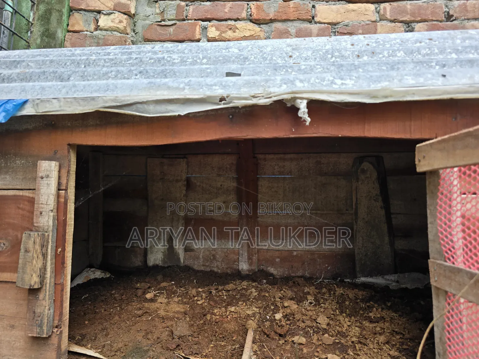 Duck/Chicken Coop