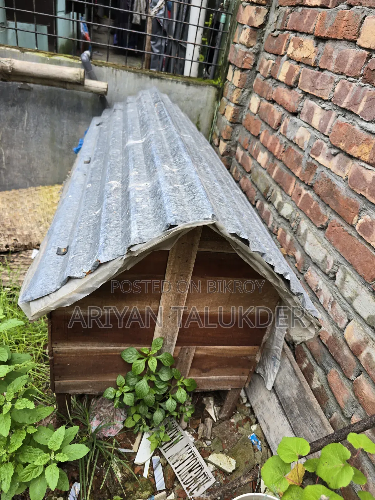 Duck/Chicken Coop