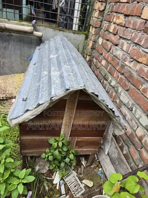 Duck/Chicken Coop