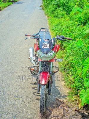 Bajaj Discover 100 2010 Red