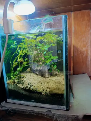 Aquaterrium