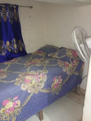 Mini Flat in সিঙ্গেল ম্যান দের, Mirpur for Rent